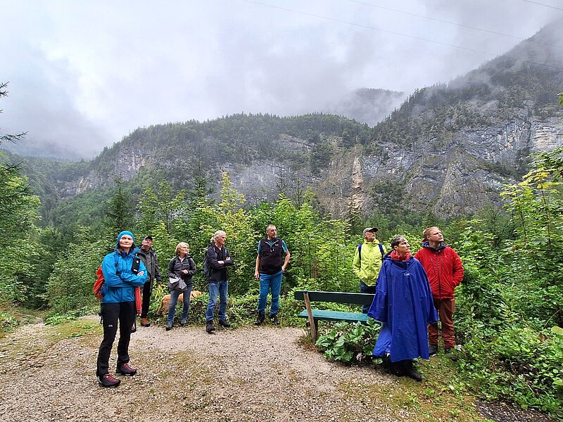 ÖBf-Waldführung im Echerntal (c) oebf ÖBf-Waldführung im Echerntal (c) oebf