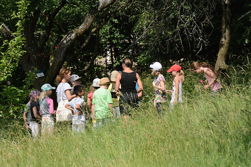 VS St. Andrä-Wördern