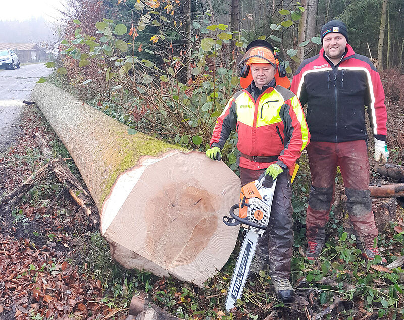 ÖBf-Forstarbeiter Alfred Hellermann (li.) und ÖBf-Forstfacharbeiter Markus Reitzl mit einer Tanne aus der Gemeinde Maria Schmolln (c) ÖBf/M. Berger
