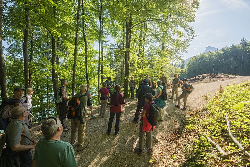 Waldführung in St. Lorenz am Almkogel (c) ÖBf/W. Lienbacher