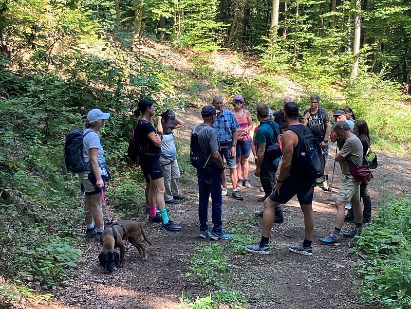 Waldführung in Bischofshofen mit Förster Stefan Merkinger (c) Robert Ramsauer