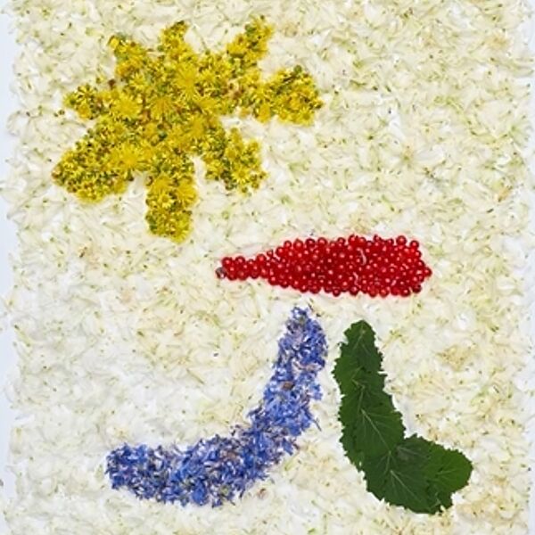 WALD Kalender Juli 2024