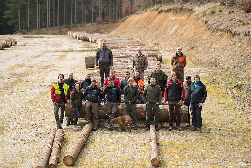ÖBf-Kolleg*innen aus den Forstbetrieben Traun-Innviertel und Steyrtal bei der Besichtigung der Wertholzstämme (c) ÖBf/W. Lienbacher