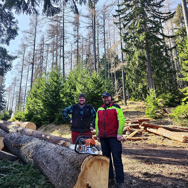 Ein Stück Wald für die Bühne der Raimundspiele Gutenstein