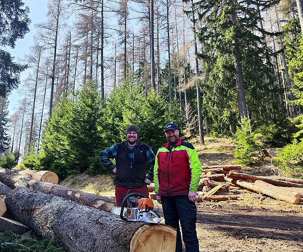 Ein Stück Wald für die Bühne der Raimundspiele Gutenstein
