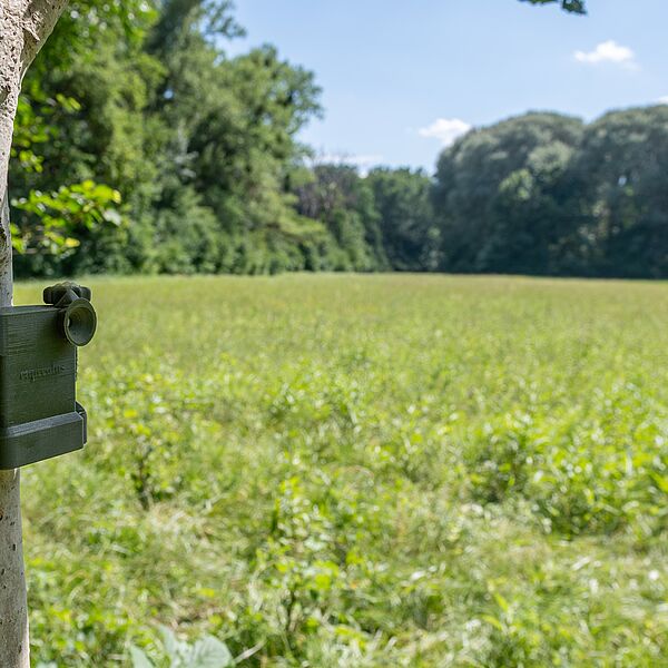 Aktives Zuhören: Bundesforste setzen auf akustisches Monitoring für seltene Vogelarten