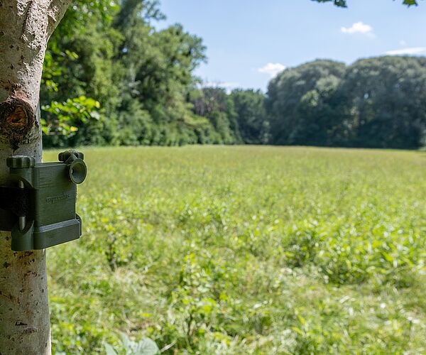 Aktives Zuhören: Bundesforste setzen auf akustisches Monitoring für seltene Vogelarten