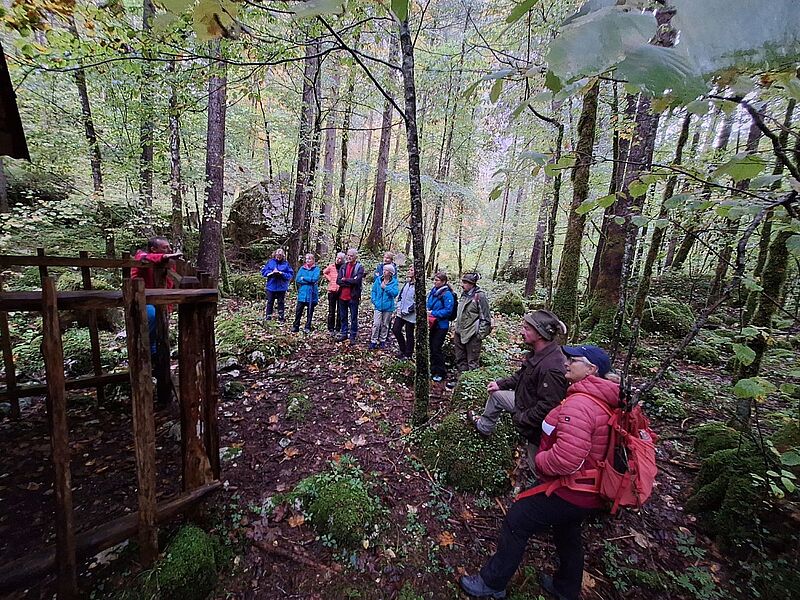 Waldführung in Echerntal mit ÖBf-Experten (c) ÖBf Waldführung in Echerntal mit ÖBf-Experten (c) ÖBf