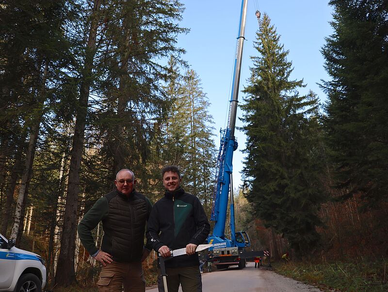 Christbaumernte im Forstrevier Altaussee (c) ÖBf/T. Kranabitl Christbaumernte im Forstrevier Altaussee (c) ÖBf/T. Kranabitl