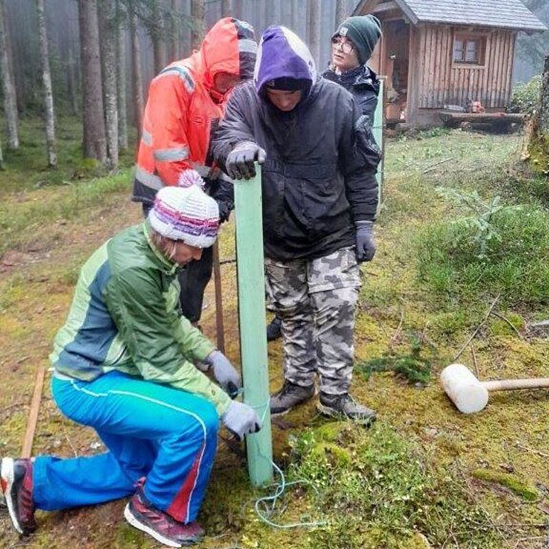 Die Schüler*innen halfen tatkräftig mit (c) ÖBf