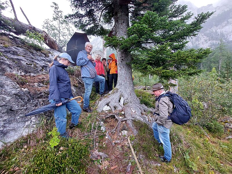 ÖBf-Waldführung in Altaussee (c) oebf/T. Kranabitl ÖBf-Waldführung in Altaussee (c) oebf/T. Kranabitl