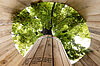Blick in die Baumkrone vom „Haus des Baumes“ vor dem MuseumsQuartier in Wien (c) eSeL.at – Lorenz Seidler