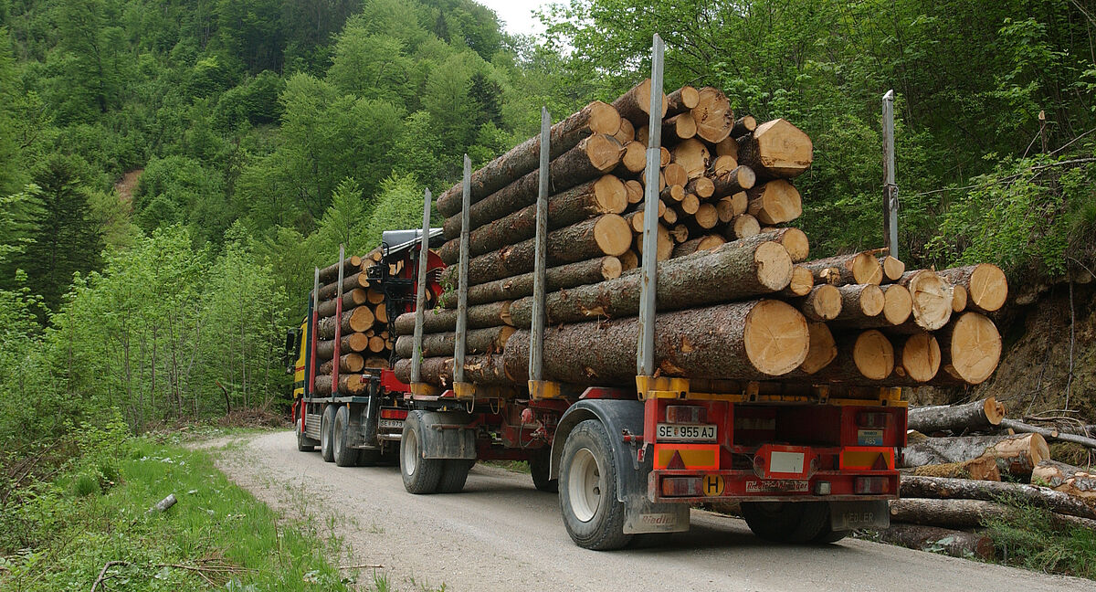 Holztransport (c) ÖBf  Holztransport (c) ÖBf
