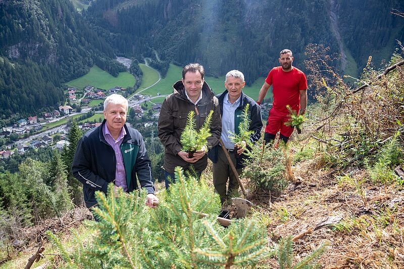 v.l.n.r.: ÖBf-Vorstand Andreas Gruber, Bundesminister Norbert Totschnig, ÖBf-Vorstandssprecher Georg Schöppl und ÖBf-Forstfacharbeiter Simon Taxacher oberhalb der Ortschaft Ginzling im ÖBf-Forstrevier Hinteres Zillertal (c) BML/Hemerka