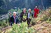 v.l.n.r.: ÖBf-Vorstand Andreas Gruber, Bundesminister Norbert Totschnig, ÖBf-Vorstandssprecher Georg Schöppl und ÖBf-Forstfacharbeiter Simon Taxacher oberhalb der Ortschaft Ginzling im ÖBf-Forstrevier Hinteres Zillertal (c) BML/Hemerka