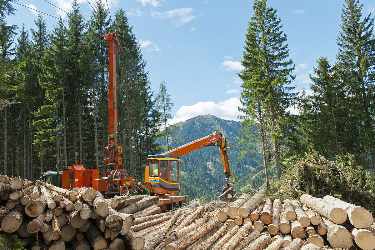 Holzernte mit Seilkran (c) ÖBf/W. Simlinger Holzernte mit Seilkran (c) ÖBf/W. Simlinger