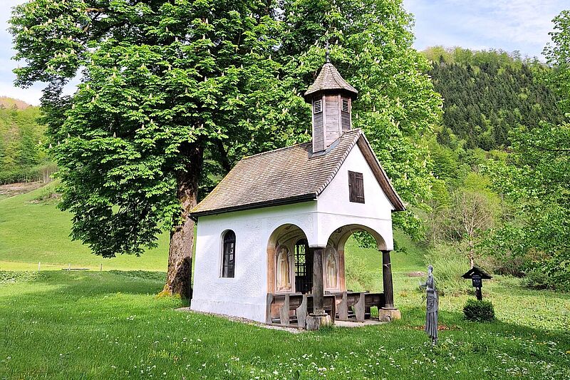 Annamesse im Nationalpark Kalkalpen
