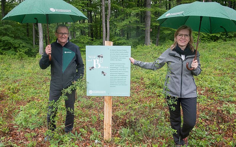 Ökologie und Ökonomie gehen Hand in Hand: Klimaschutzministerin Leonore Gewessler und Bundesforste-Vorstand Rudolf Freidhager beim Lokalaugenschein im Wienerwald (c) ÖBf-Archiv/F. Helmrich