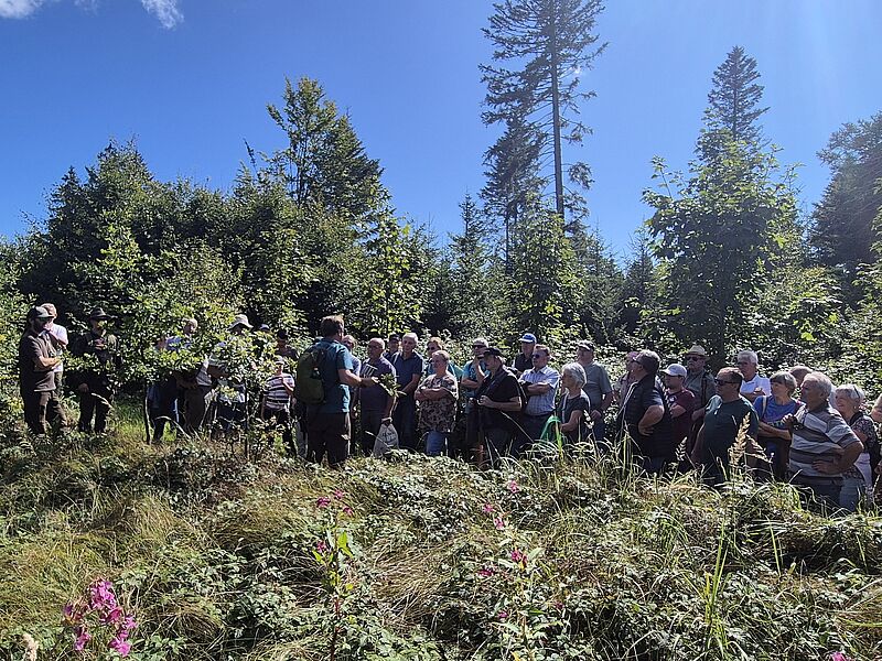 Förster Matthias Berger bei der Führung durch den Kobernaußerwald (c) ÖBf