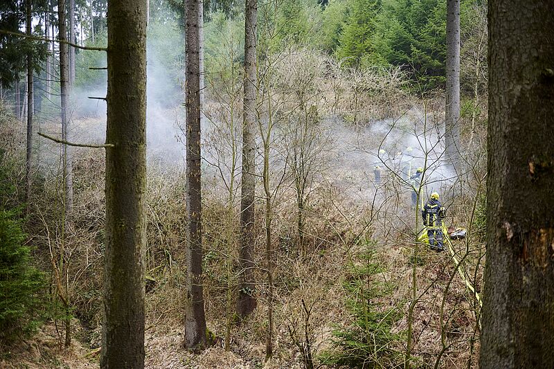 Brandgefahr im trockenen Wald: Bundesforste, Alpenverein und Naturfreunde rufen zu Achtsamkeit auf 