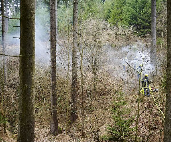 Brandgefahr im trockenen Wald: Bundesforste, Alpenverein und Naturfreunde rufen zu Achtsamkeit auf 
