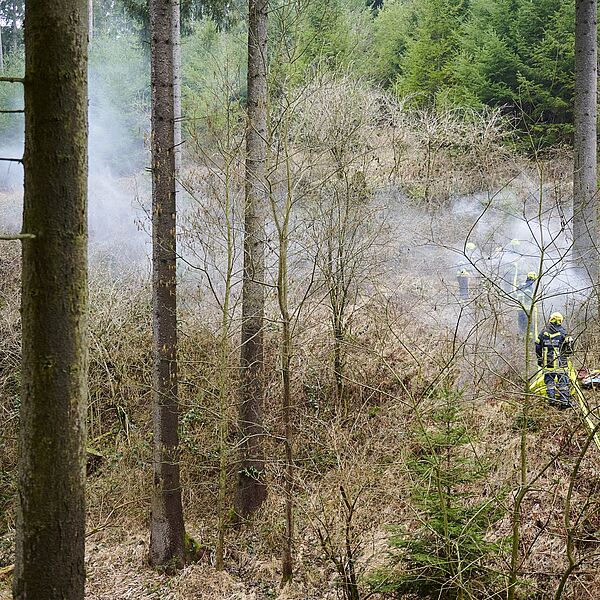 Brandgefahr im trockenen Wald: Bundesforste, Alpenverein und Naturfreunde rufen zu Achtsamkeit auf 