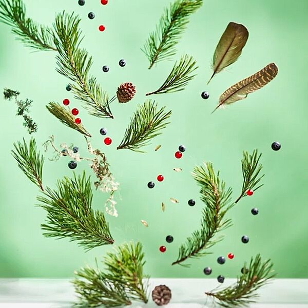 WALD Kalender September 2023