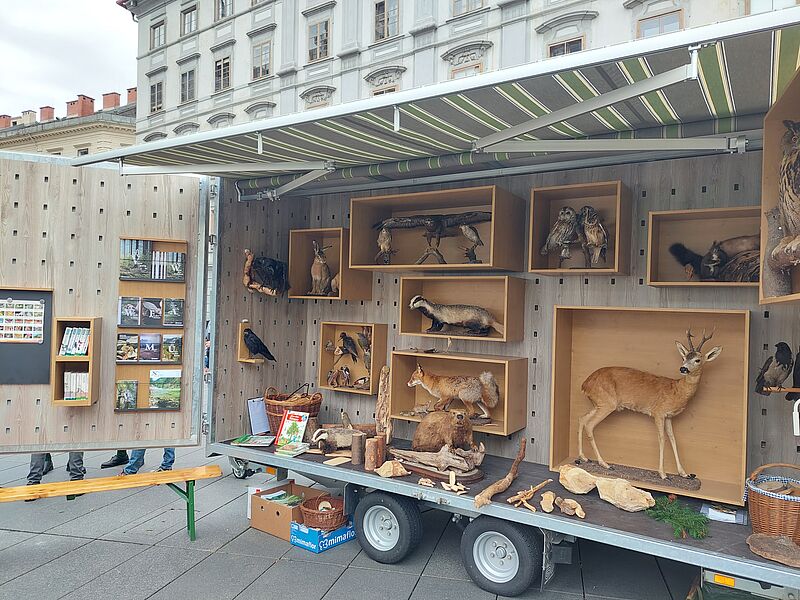 WILD.LIVE! Mobil (c) ÖBf