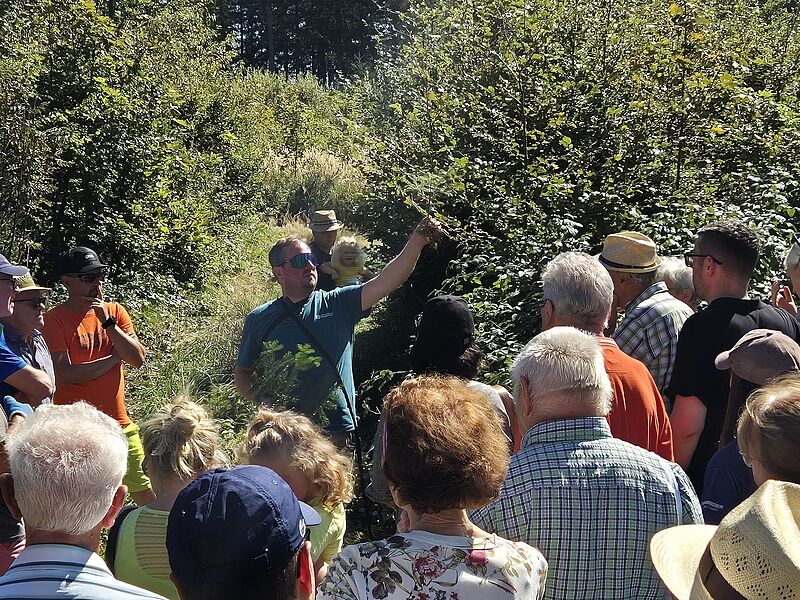 Waldführung durch den Kobernaußerwald mit Förster Matthias Berger (c) ÖBf/L. Brandstätter