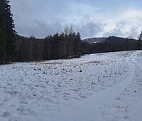 Forstbetrieb Waldviertel-Voralpen - JR Mittelbergeramt Ost
