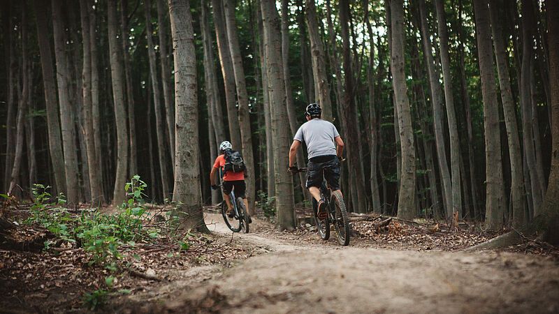 Mountainbiker fahren entlang eines Trails im Wienerwald