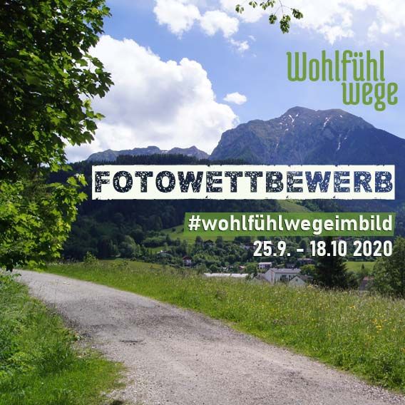 WohlfühlWege im Bild - Fotowettbewerb von Naturfreunde Österreich und Österreichische Bundesforste // Foto: ÖBf/M. Schwantzer