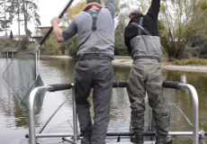 Fischer fischen in den Donau-Auen