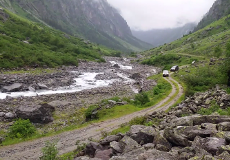 Steinbockauswilderung Hinteres Zillertal