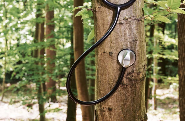 Nachhaltigkeitsbericht 2019