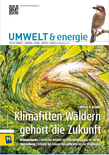Titelseite Umewelt&energie-Heft 4/2020